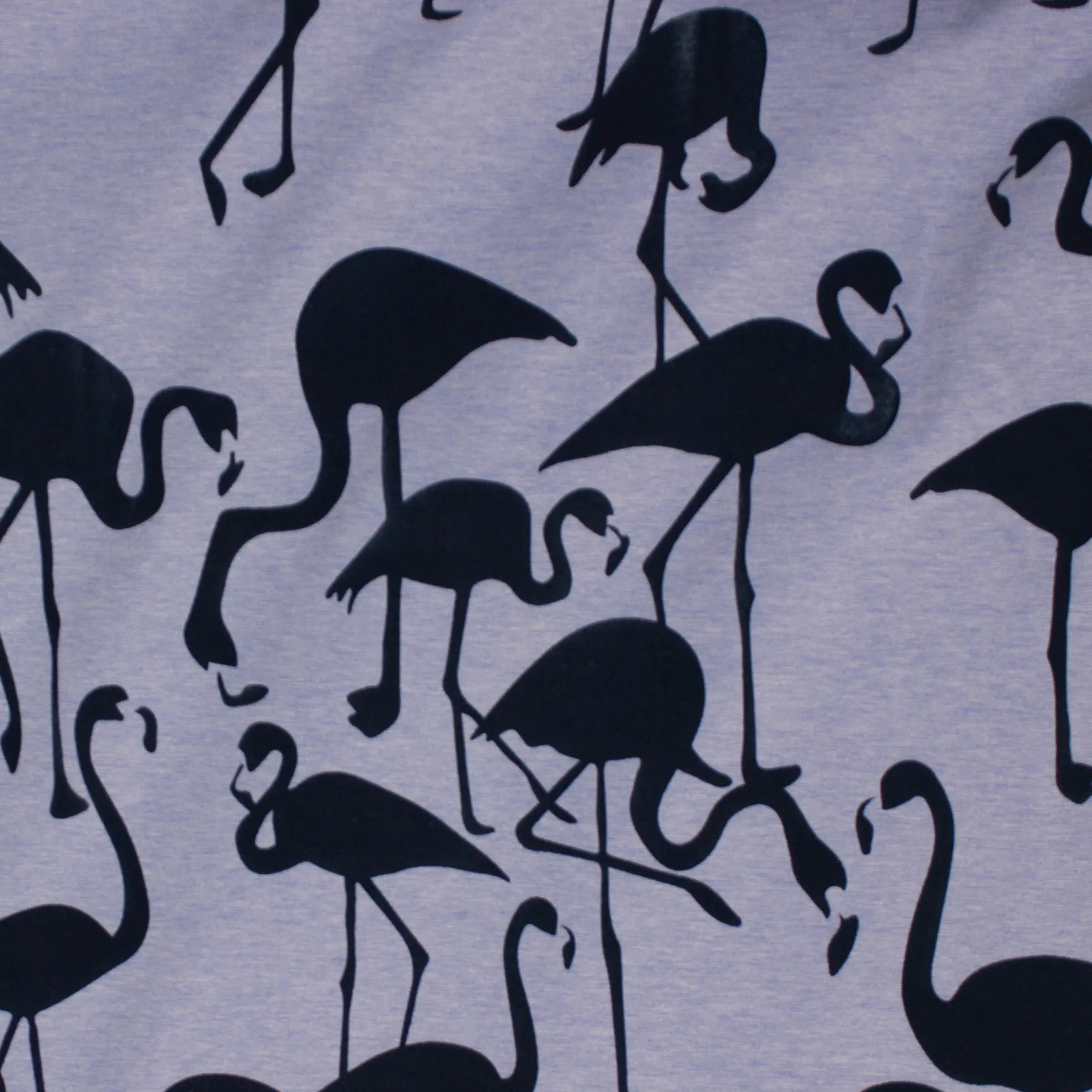 French terry met flock bedrukte flamingo's
